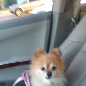 Meet your Posher, Tami